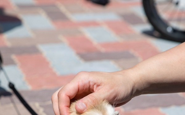 Atago Hills Dog Park Grand Opening