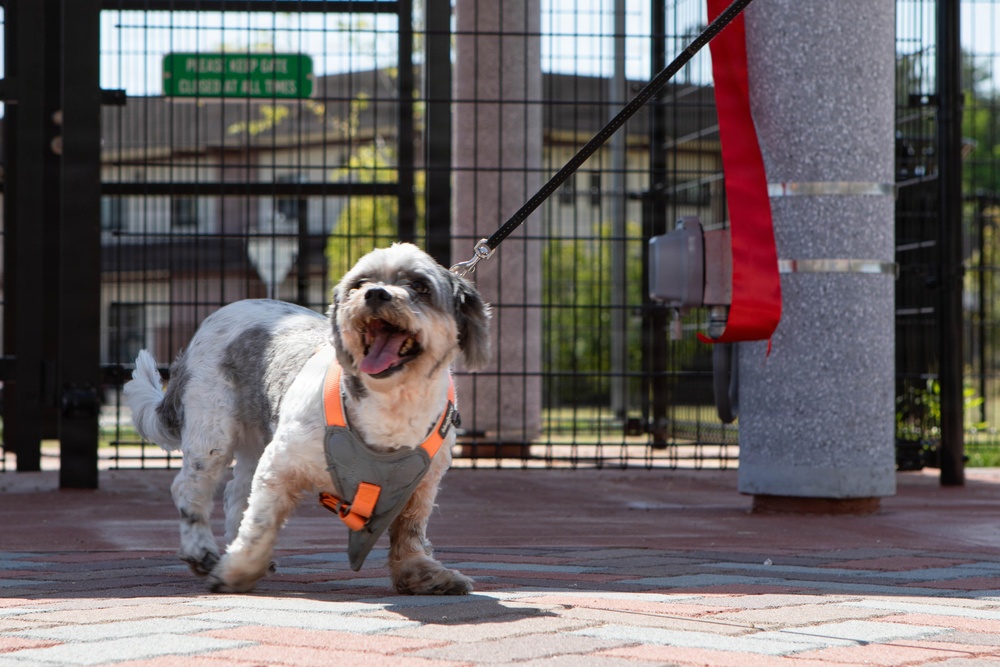 Atago Hills Dog Park Grand Opening