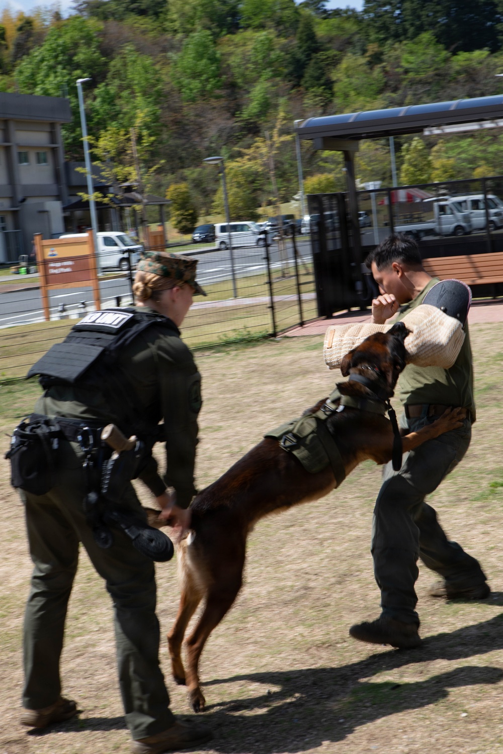 Atago Hills Dog Park Grand Opening