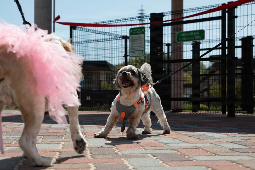 Atago Hills Dog Park Grand Opening
