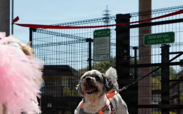 Atago Hills Dog Park Grand Opening