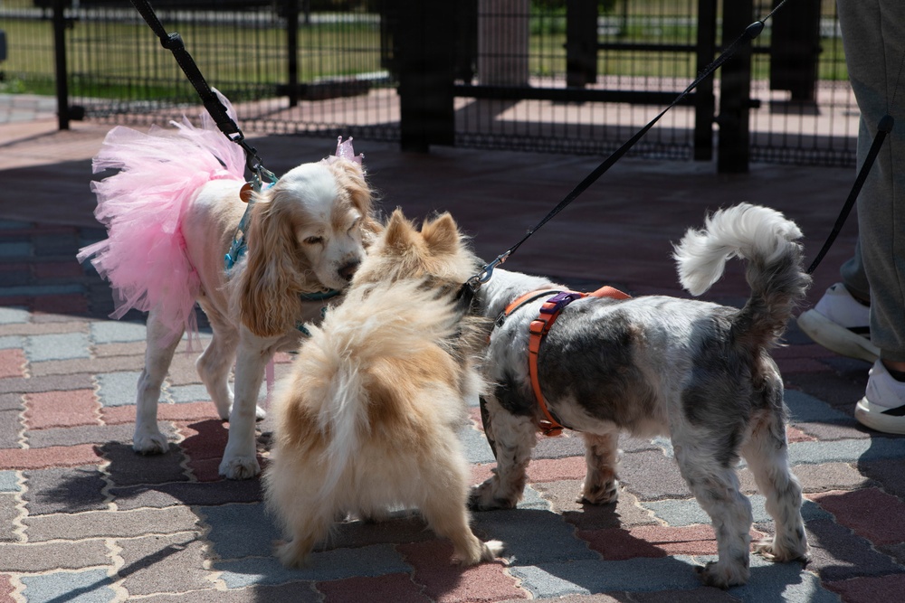 Atago Hills Dog Park Grand Opening