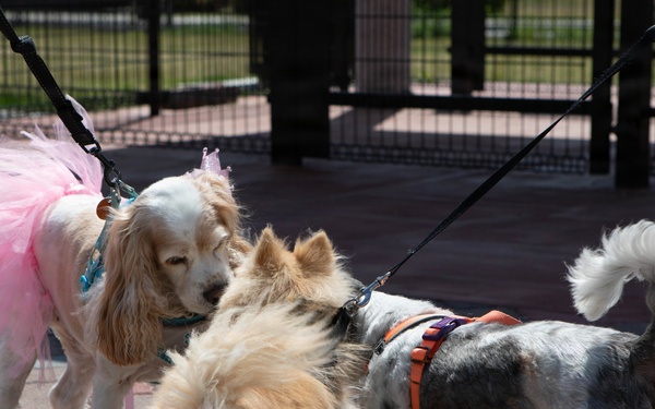 Atago Hills Dog Park Grand Opening