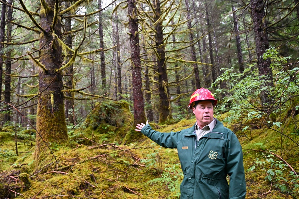 Thinning for the future on the Tongass
