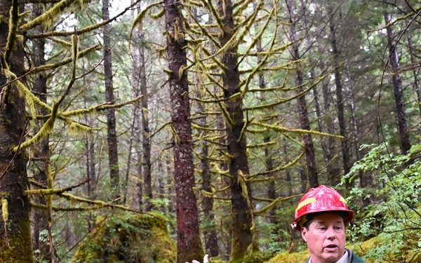 Thinning for the future on the Tongass