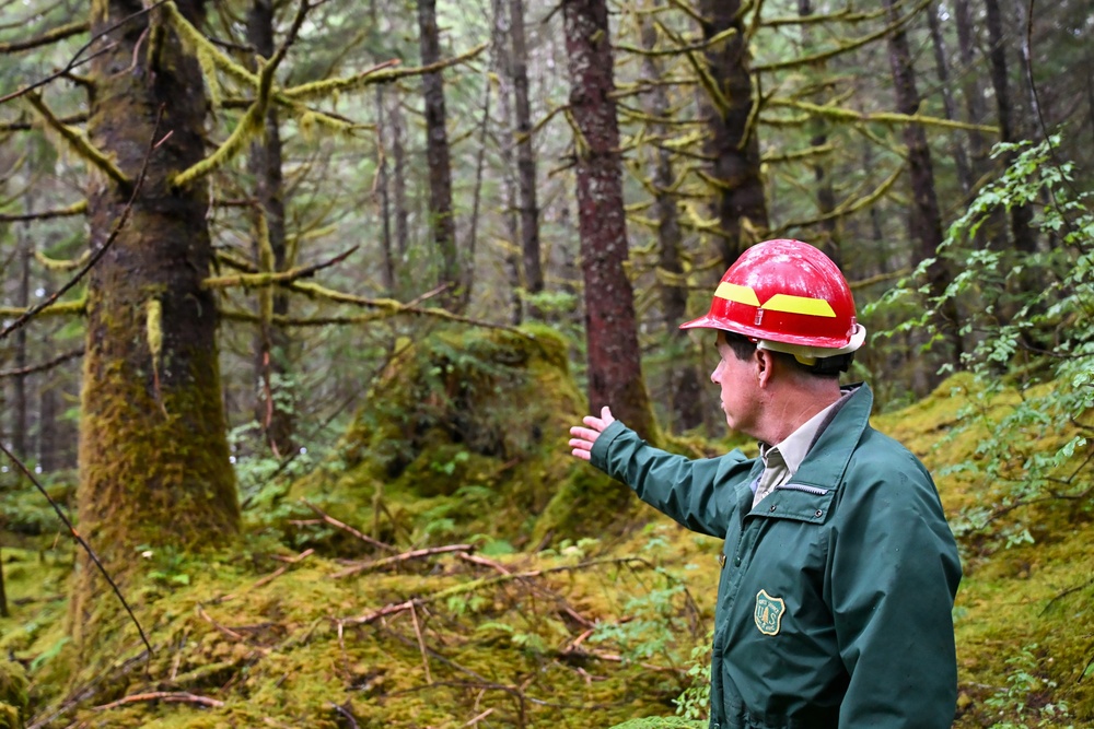 Thinning for the future on the Tongass