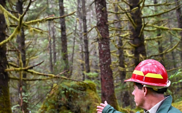 Thinning for the future on the Tongass
