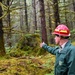 Thinning for the future on the Tongass
