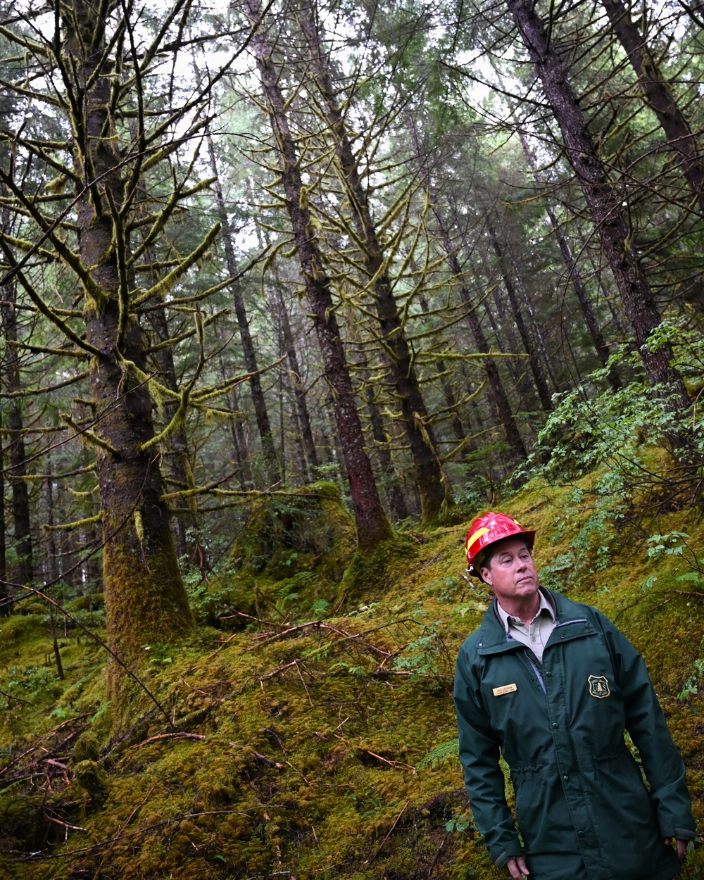 Thinning for the future on the Tongass