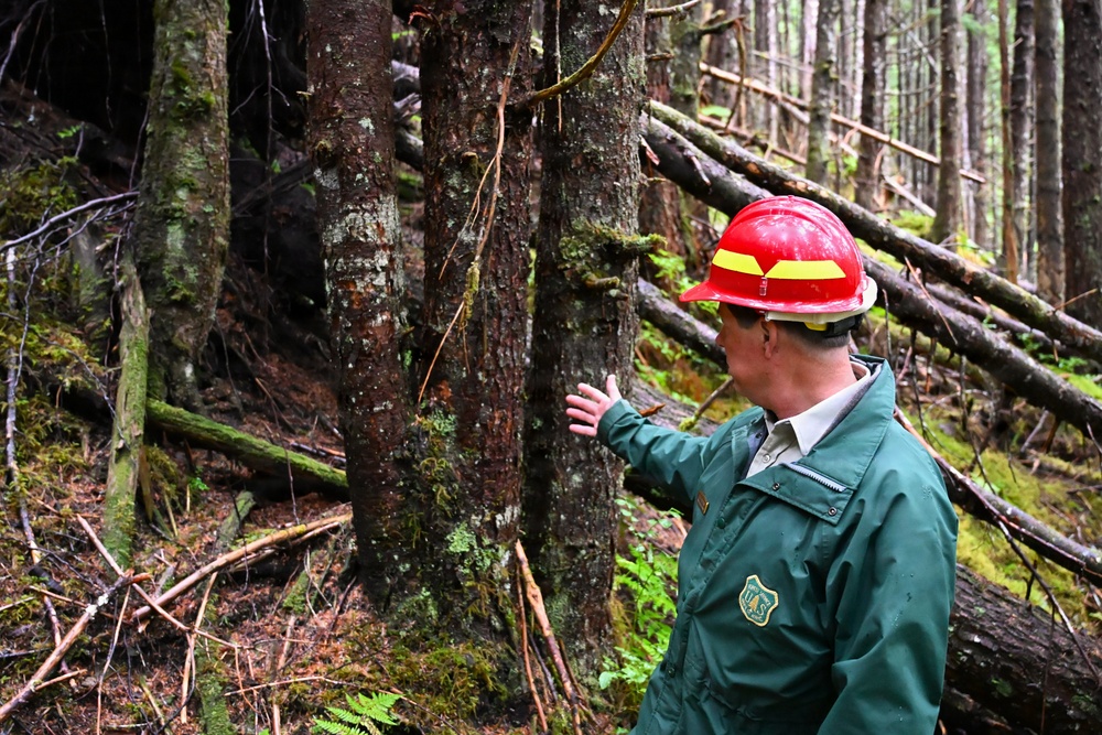 Thinning for the future on the Tongass