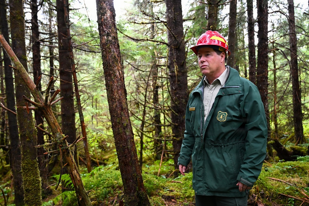 Thinning for the future on the Tongass