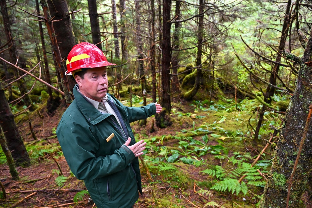 Thinning for the future on the Tongass