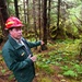 Thinning for the future on the Tongass
