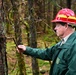 Thinning for the future on the Tongass