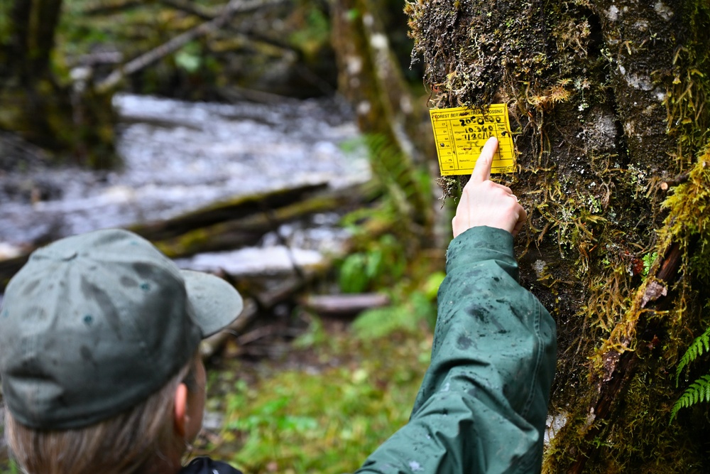 Fisheries biologist identifies stream crossing on the Tongass