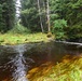 Salmon-bearing stream on the Tongass National Forest