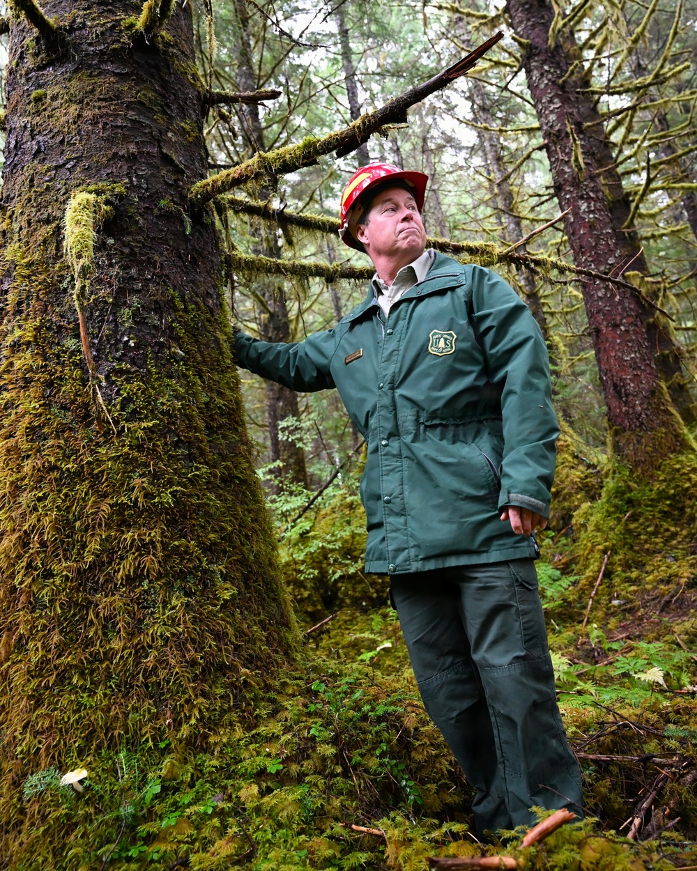 Thinning for the future on the Tongass