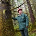 Thinning for the future on the Tongass