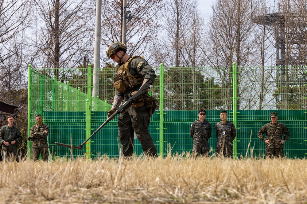 U.S. Marines and ROKAF train interoperability