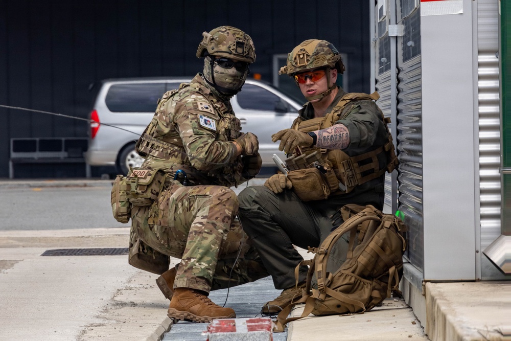 U.S. Marines and ROKAF train interoperability