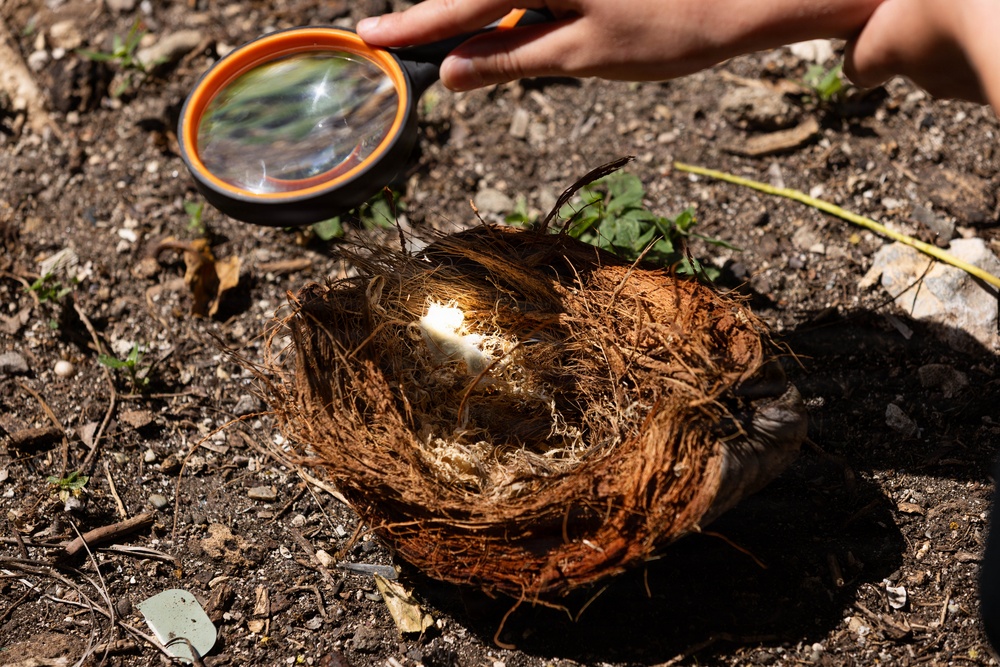 U.S. Army Partners with Scouting America Troop 1849 for Jungle Survival Training