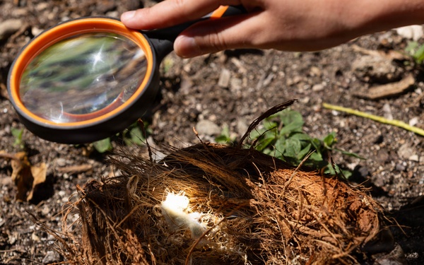 U.S. Army Partners with Scouting America Troop 1849 for Jungle Survival Training