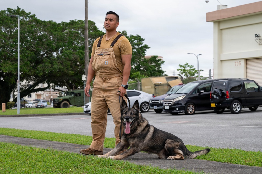 18th Wing command chief trains with military working dog teams