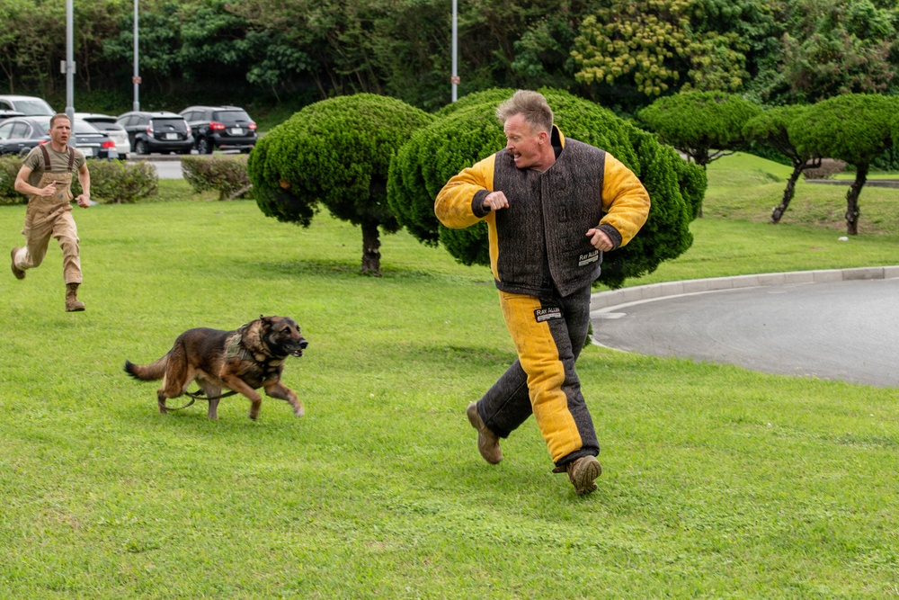 18th Wing command chief trains with military working dog teams