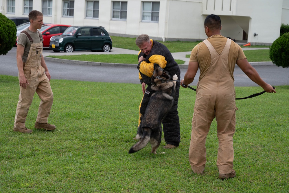 18th Wing command chief trains with military working dog teams