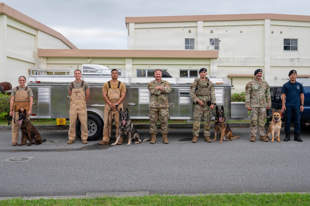 18th Wing command chief trains with military working dog teams
