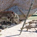 Sniper Section Headquarters and Headquaters Company 4-9 Infantry Range Day