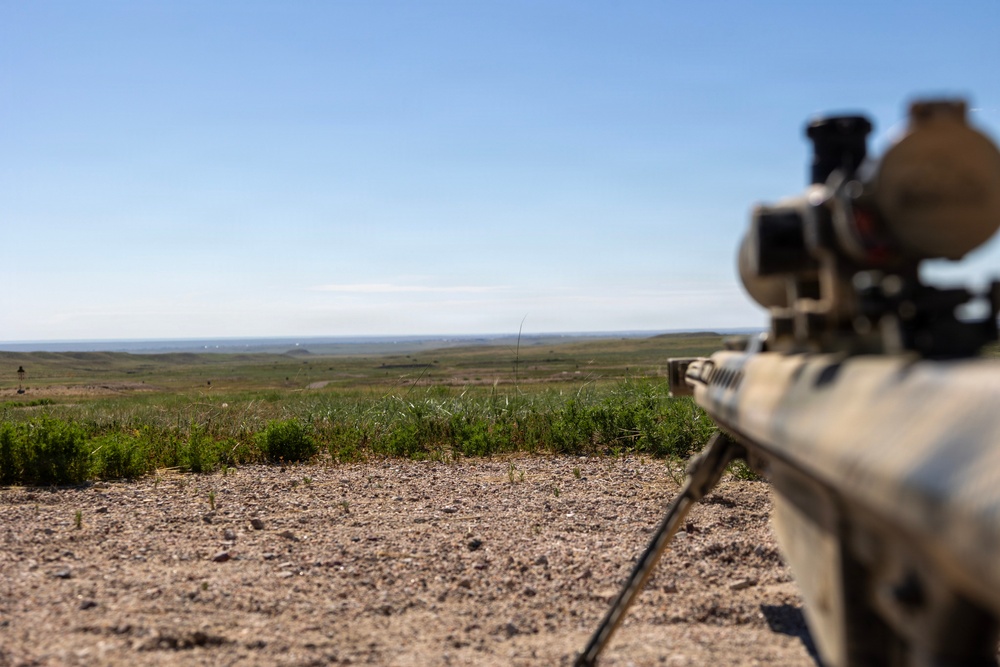 Sniper Section Headquarters and Headquaters Company 4-9 Infantry Range Day