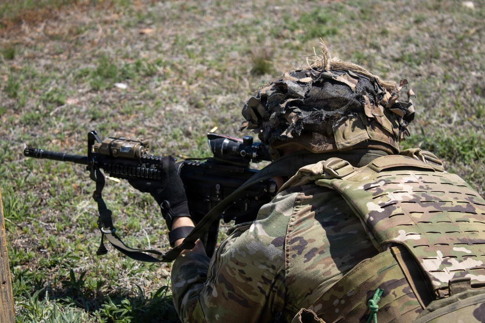 4th Battalion 9th Infantry Overwatch Project Resiliency and Intervention Training