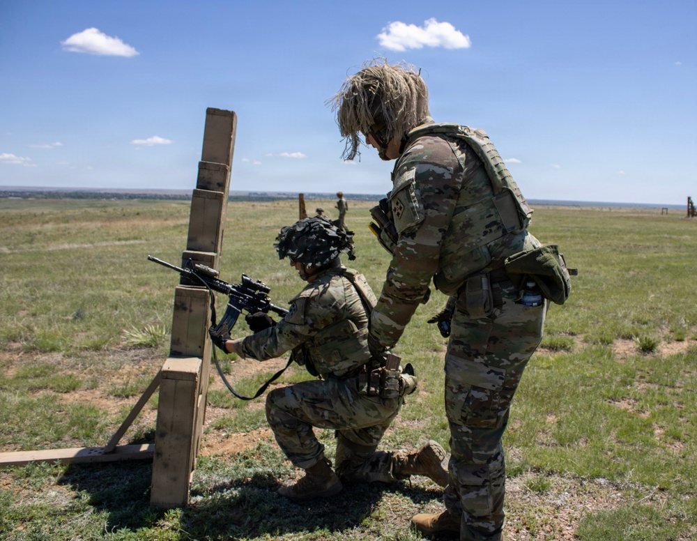 4th Battalion 9th Infantry Overwatch Project Resiliency and Intervention Training