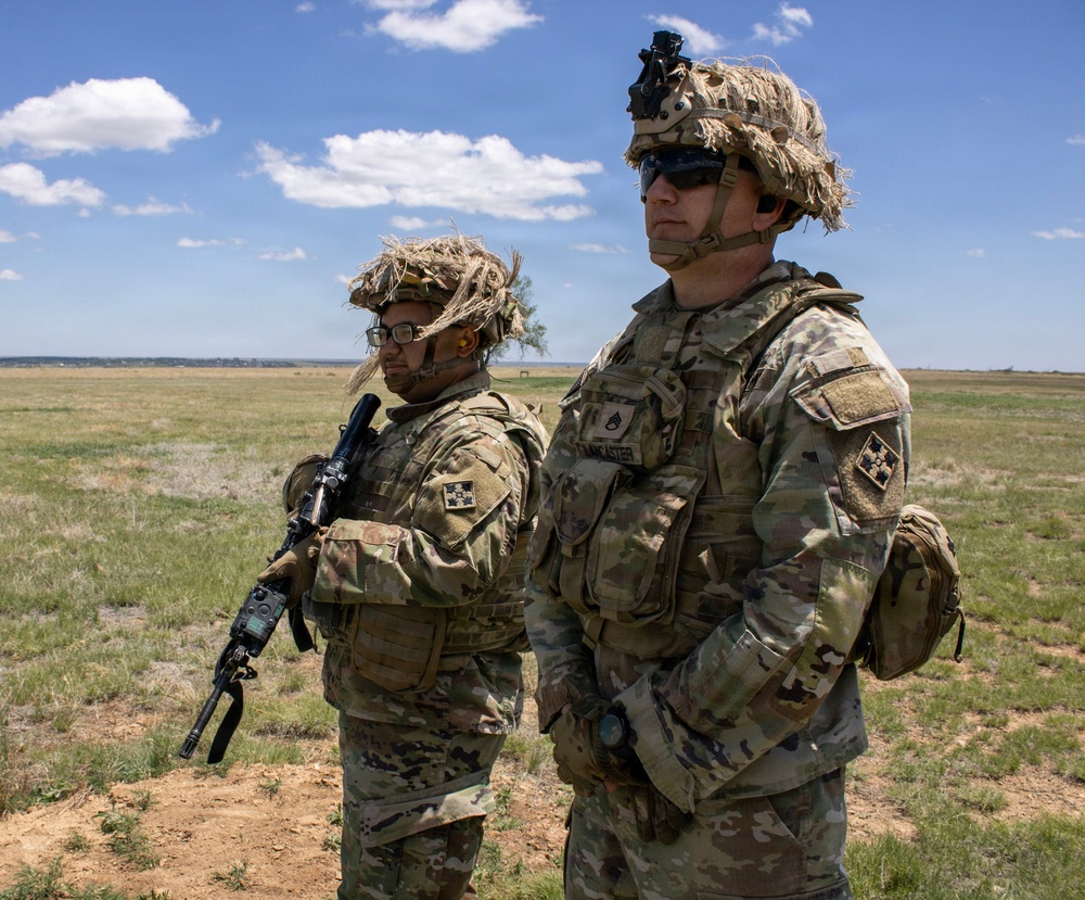 4th Battalion 9th Infantry Overwatch Project Resiliency and Intervention Training