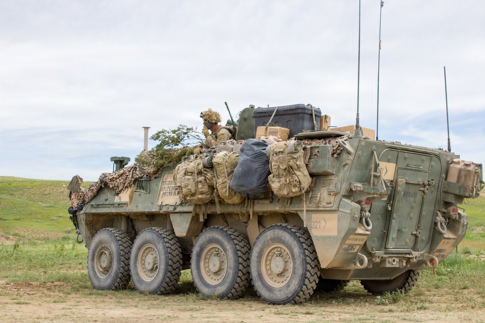 4th Battalion 9th Infantry Regiment Platoon Live Fire