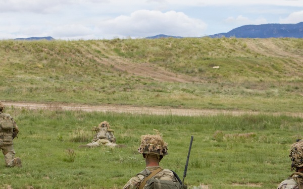 4th Battalion 9th Infantry Regiment Platoon Live Fire