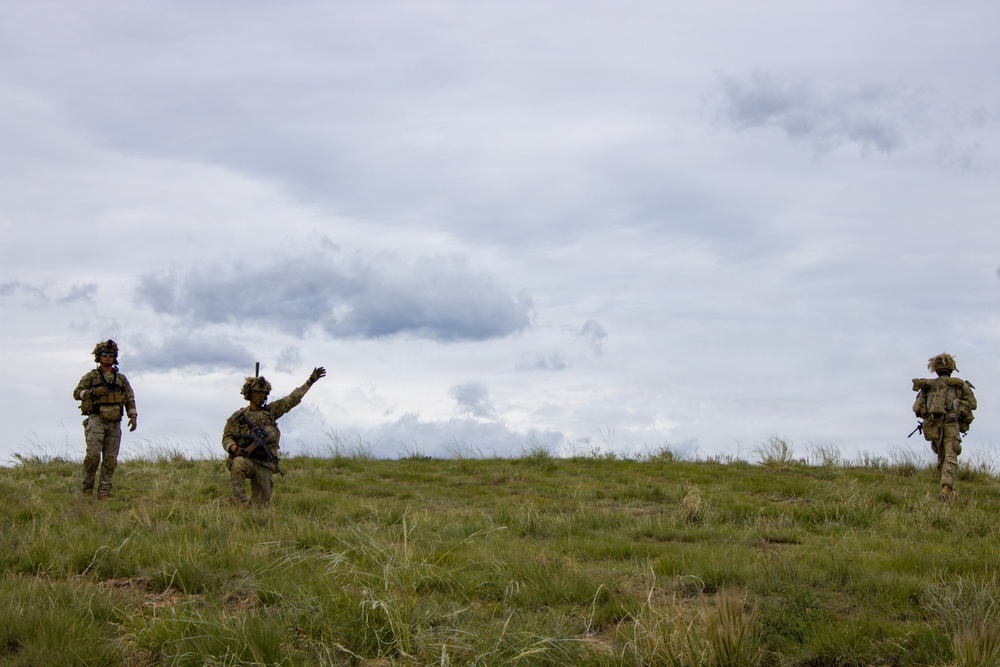 4th Battalion 9th Infantry Regiment Platoon Live Fire