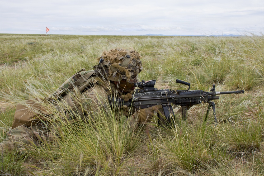 4th Battalion 9th Infantry Regiment Platoon Live Fire