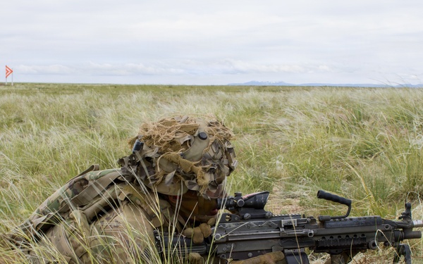 4th Battalion 9th Infantry Regiment Platoon Live Fire