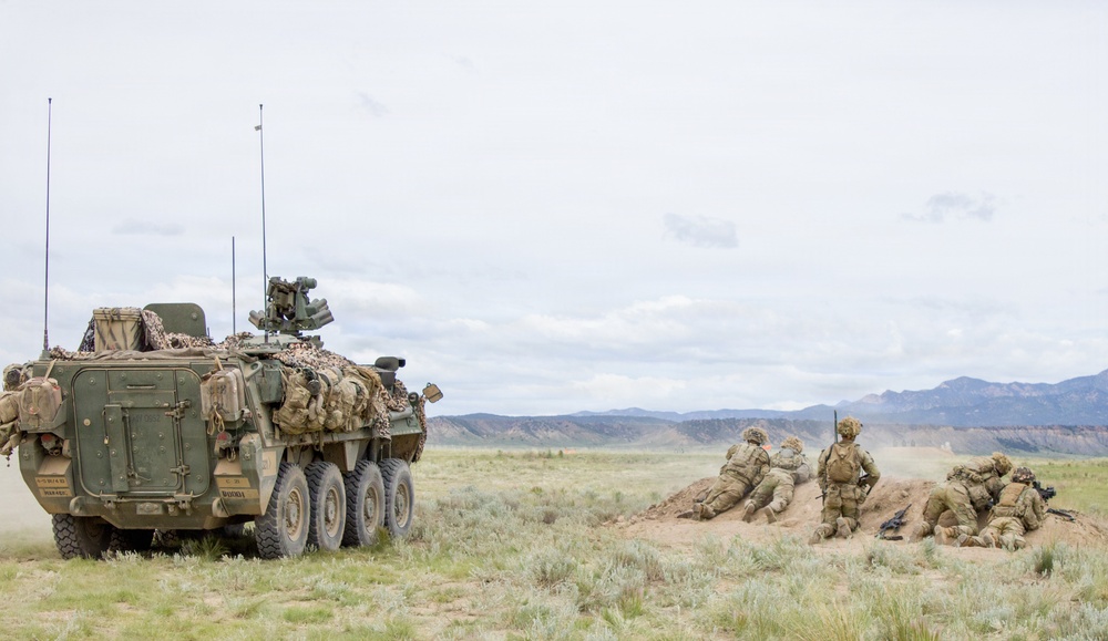 4th Battalion 9th Infantry Regiment Platoon Live Fire