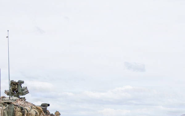 4th Battalion 9th Infantry Regiment Platoon Live Fire