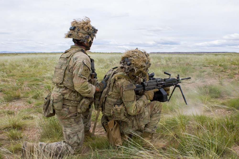 4th Battalion 9th Infantry Regiment Platoon Live Fire