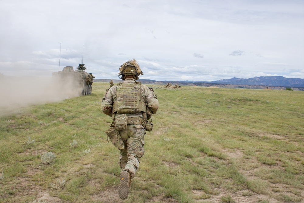 4th Battalion 9th Infantry Regiment Platoon Live Fire