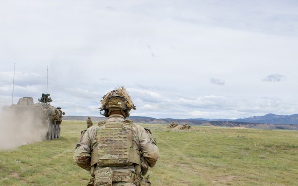 4th Battalion 9th Infantry Regiment Platoon Live Fire