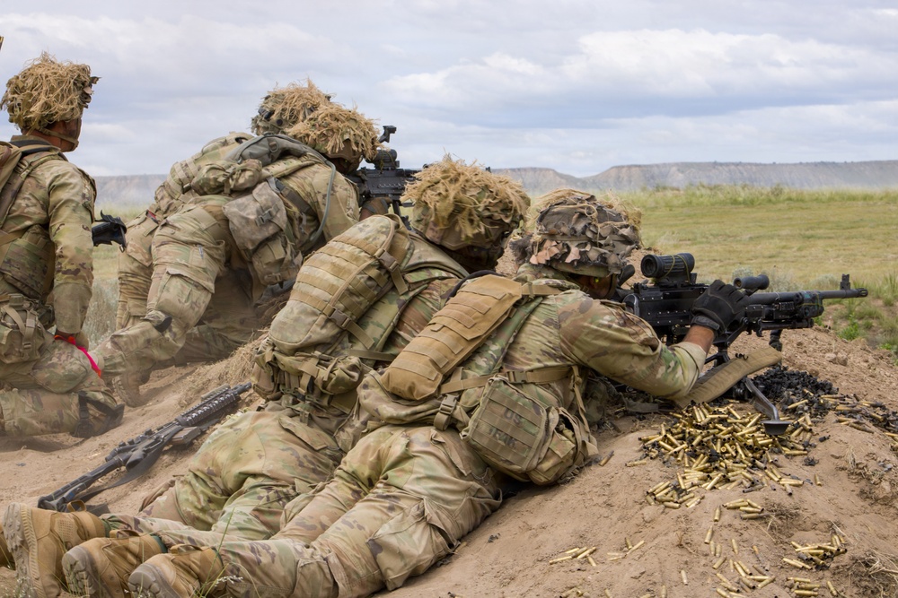4th Battalion 9th Infantry Regiment Platoon Live Fire