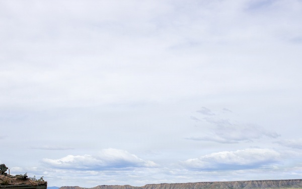 4th Battalion 9th Infantry Regiment Platoon Live Fire