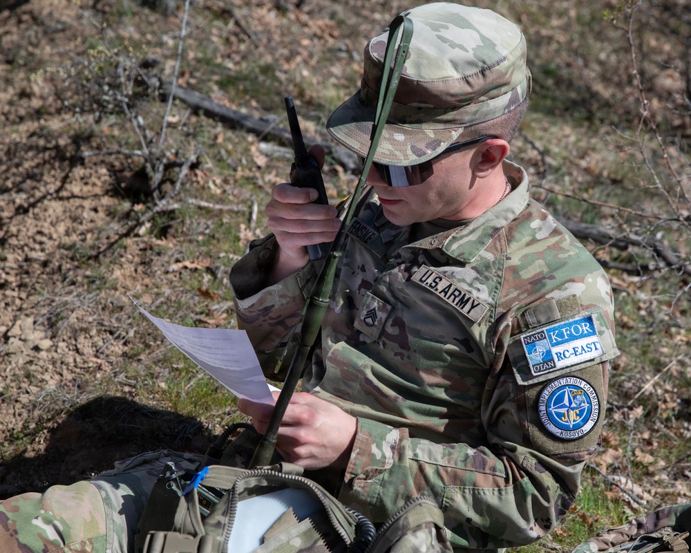 KFOR units synchronize efforts during medevac hoist training