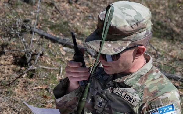 KFOR units synchronize efforts during medevac hoist training