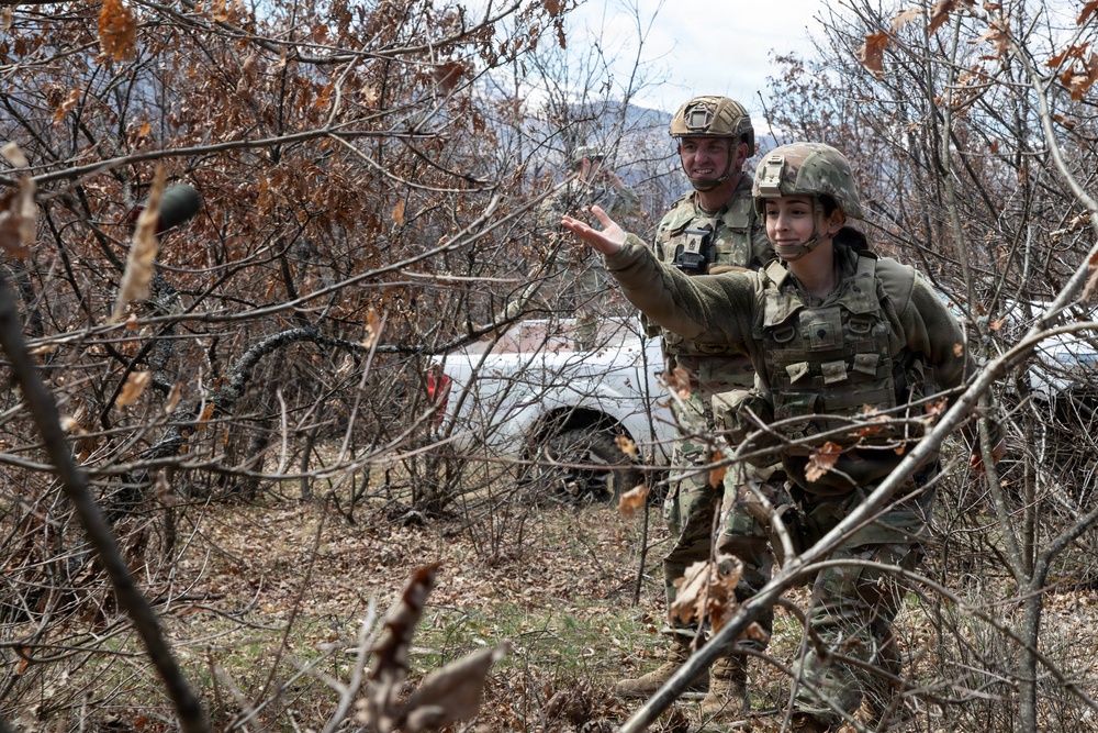 KFOR units synchronize efforts during medevac hoist training